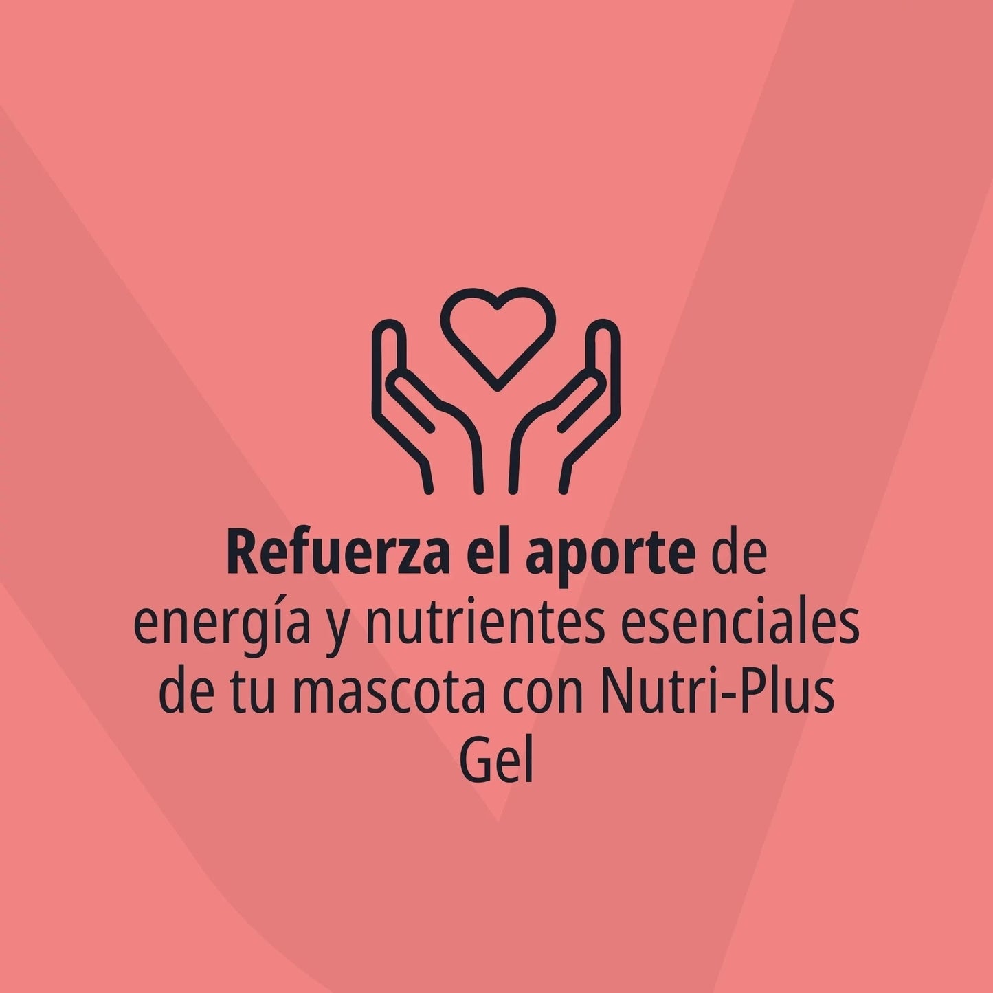 Icono lineal de dos manos sosteniendo un corazón sobre fondo rosa salmón con logo Virbac en marca de agua, y texto Refuerza el aporte de energía y nutrientes esenciales de tu mascota con Nutri-Plus Gel