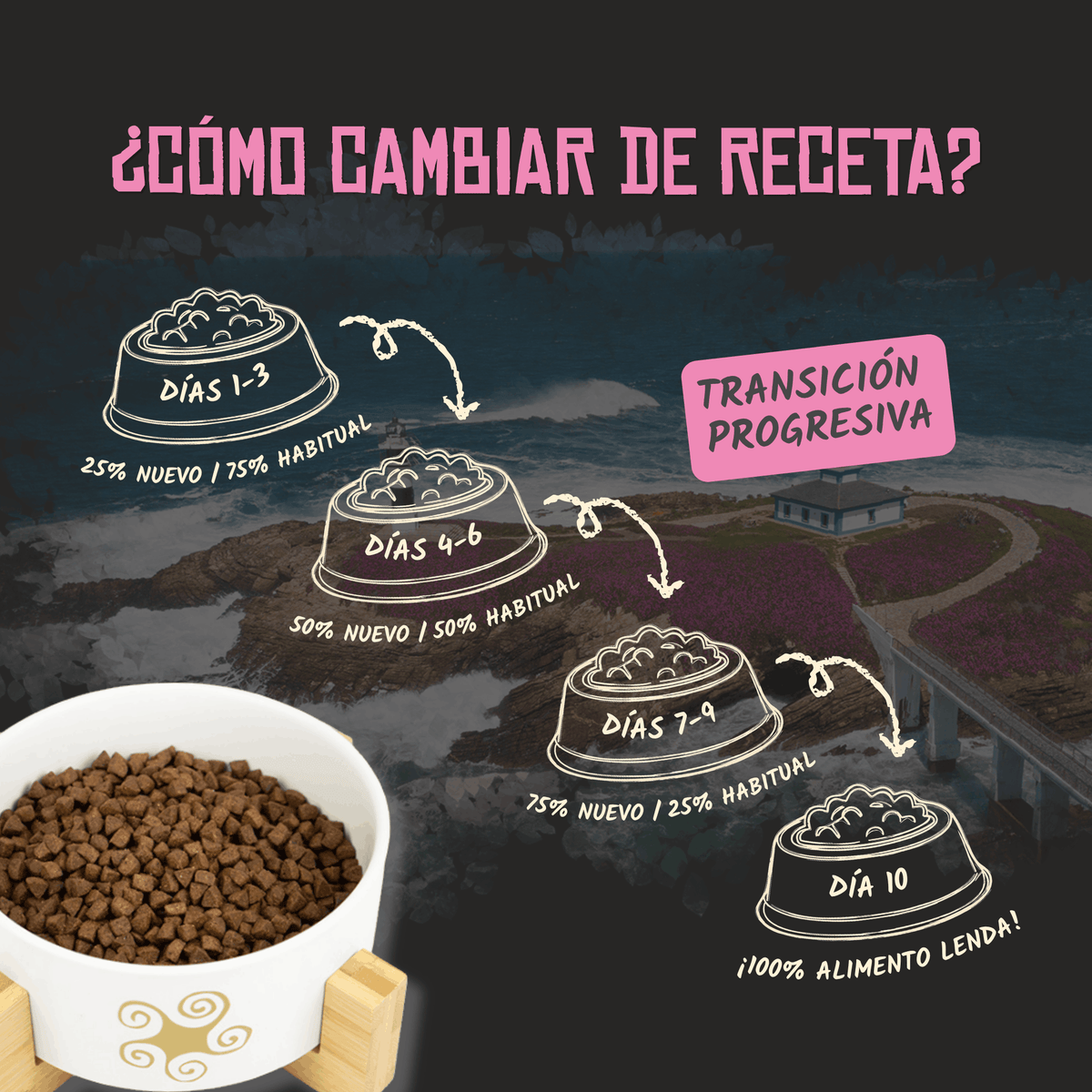 Guía oficial para cambiar de receta en diez días, EAN 8435578201504