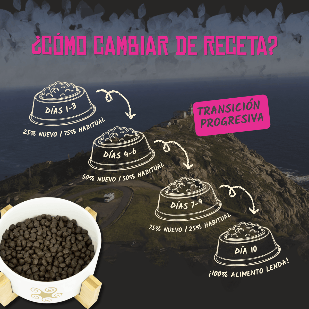 Guía oficial para cambiar de receta en diez días, EAN 8435578201344