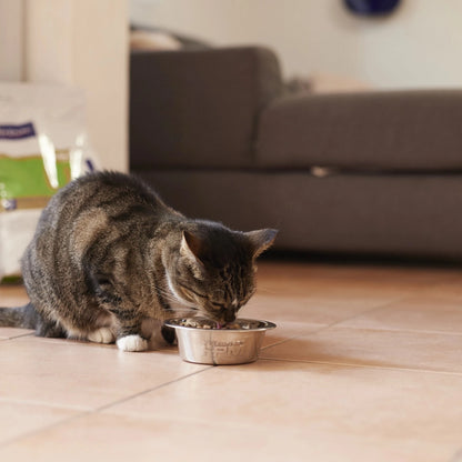 VIRBAC HPM FELINE UROLOGY URINARY WIB U3