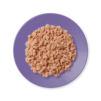 Plato de comida húmeda servido a temperatura ambiente