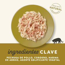 Cuenco con la comida servida de este plato para gatos, a temperatura ambiente.