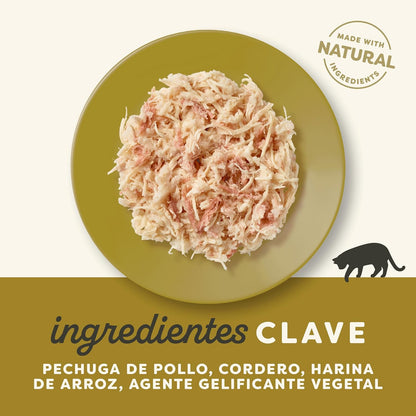 Cuenco con la comida servida de este plato para gatos, a temperatura ambiente.