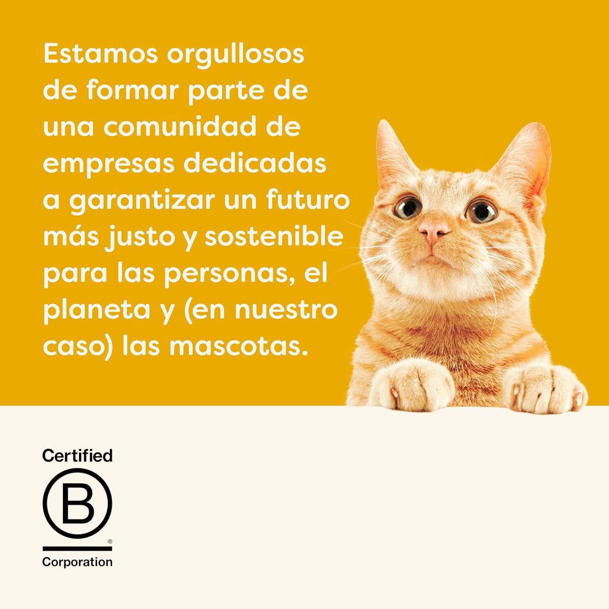 Lámina informativa de la marca Applaws acerca de su compromiso como empresa certificada.