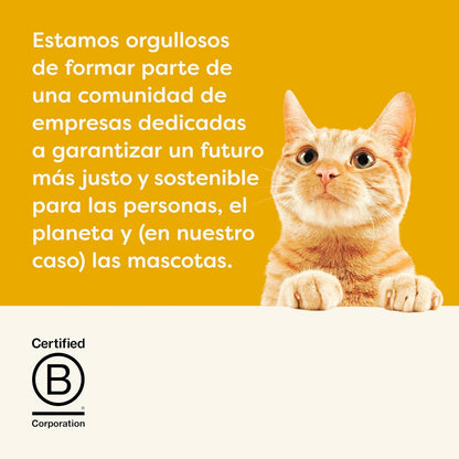 Lámina de marca de Applaws con un gato atigrado sobre fondo de color