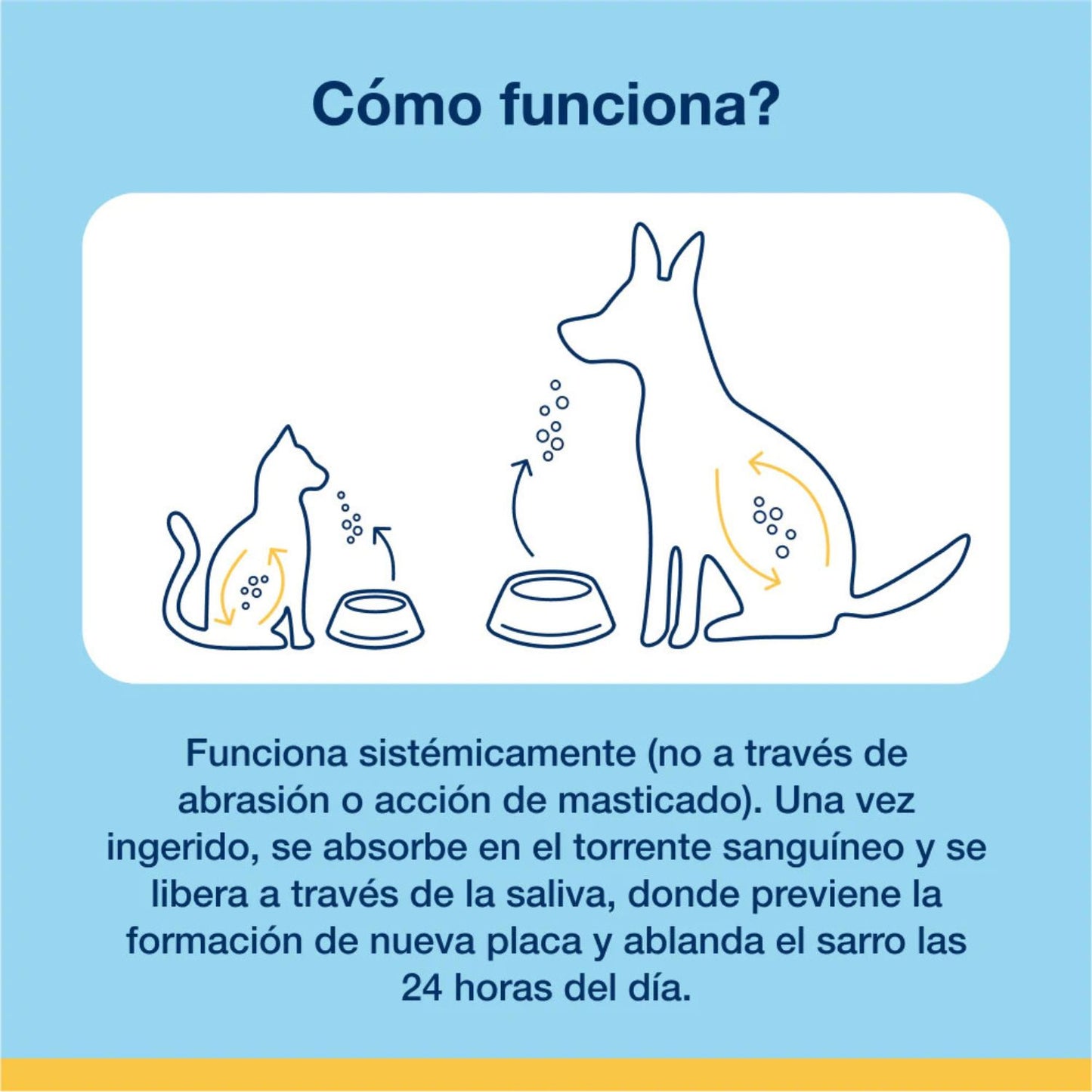 Ilustración de perro y gato mostrando cómo ProDen PlaqueOff polvo actúa de forma sistémica a través de la saliva para prevenir placa y ablandar el sarro.