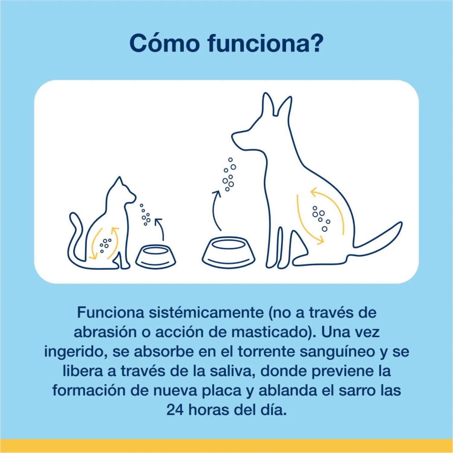 Ilustración de perro y gato mostrando cómo ProDen PlaqueOff polvo actúa de forma sistémica a través de la saliva para prevenir placa y ablandar el sarro.
