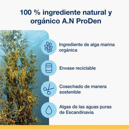 Alga marina Ascophyllum nodosum en el mar destacando que ProDen PlaqueOff polvo para perros y gatos utiliza un ingrediente 100% natural y orgánico cosechado de forma sostenible.​