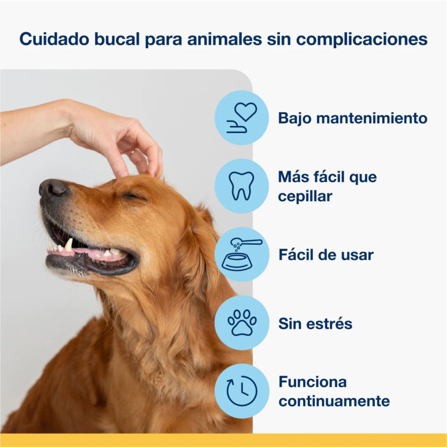 Perro feliz recibiendo caricias mientras se muestran iconos de beneficios de ProDen PlaqueOff polvo para una higiene bucal sencilla y sin estrés.