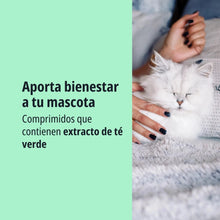 Gato persa de pelo largo blanco dormitando tranquilamente mientras una persona con uñas oscuras lo acaricia suavemente, texto Aporta bienestar a tu mascota comprimidos que contienen extracto de té verde
