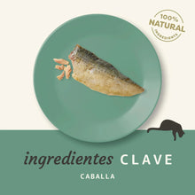 Lomo de caballa Applaws para gatos servido entero sobre un plato verde