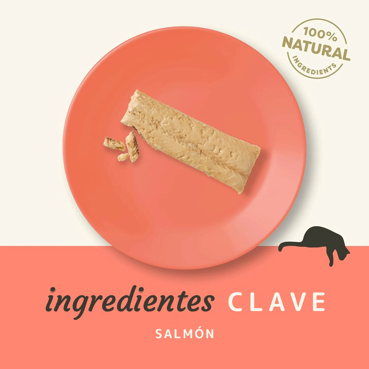 Lomo de salmón Applaws para gatos servido entero sobre un plato coral