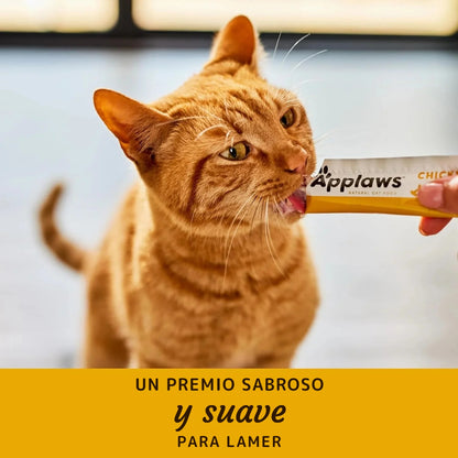 Gato lamiendo el puré de pollo Applaws directamente del sobre sujeto con la mano
