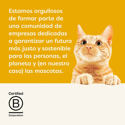 Lámina informativa de la marca sobre los valores de la empresa