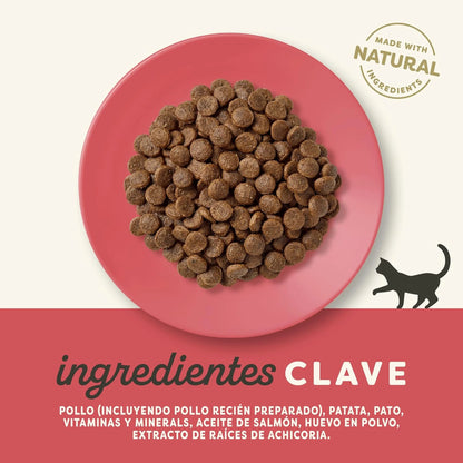 Lámina con los ingredientes clave de la receta de pollo y pato de Applaws