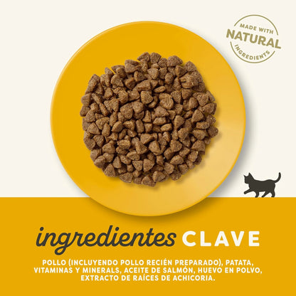 Lámina con los ingredientes clave de la receta de pollo para gatitos de Applaws