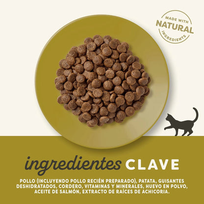 Lámina con los ingredientes clave de la receta de pollo y cordero de Applaws