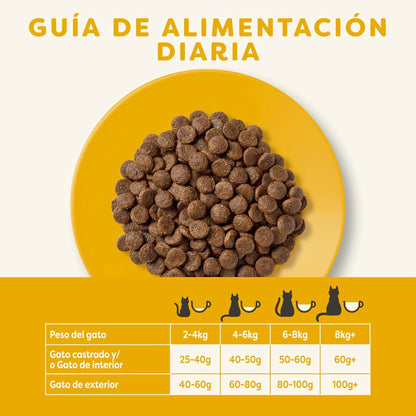 Lámina informativa de la marca sobre la guía de alimentación del envase