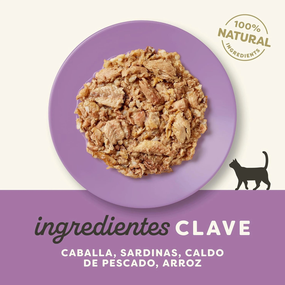 Lámina informativa de Applaws con los ingredientes clave de esta receta para gatos.