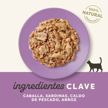Lámina informativa de Applaws con los ingredientes clave de esta receta para gatos.