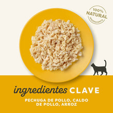 Lámina informativa de la marca con los ingredientes clave de esta receta felina.