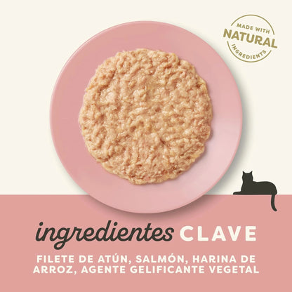 Lámina informativa con el listado de ingredientes clave de esta receta de atún y pescado azul para gatos.