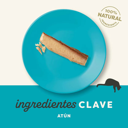 Lomo de atún Applaws para gatos servido entero en un plato turquesa