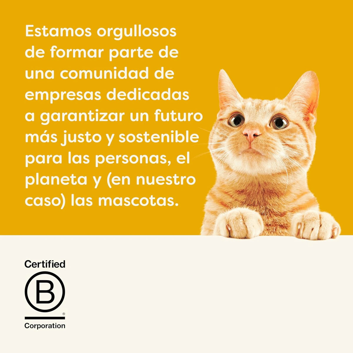 Lámina de marca con un gato atigrado