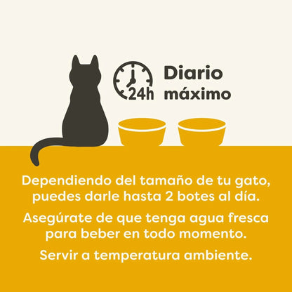 Lámina en español con la pauta diaria que publica el fabricante