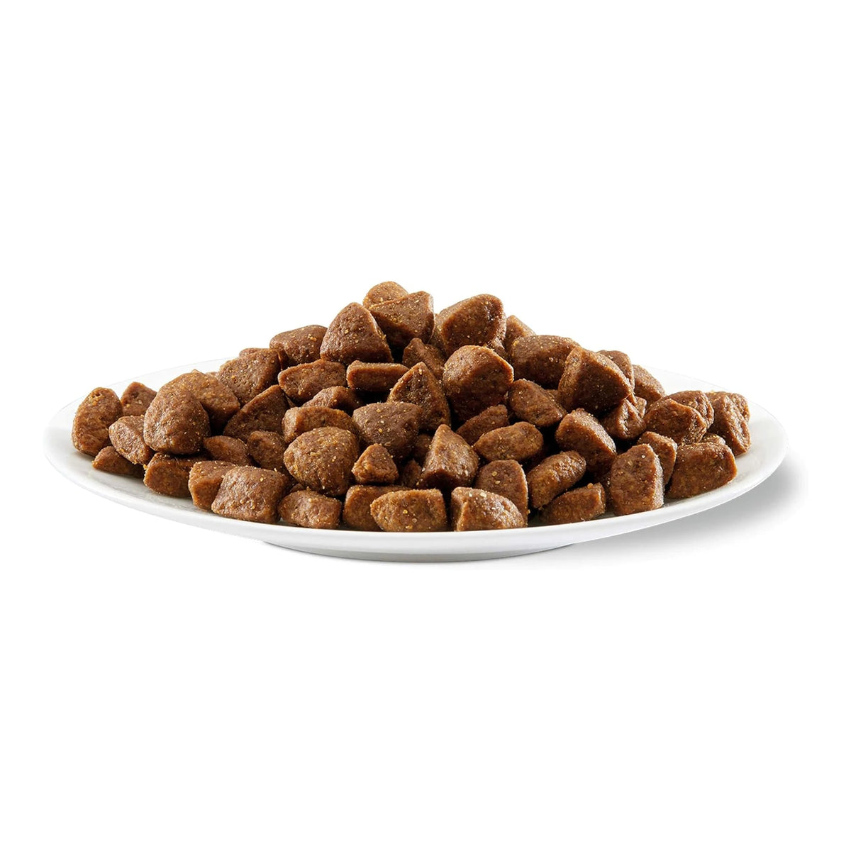 Plato blanco con un montón de croquetas marrones de alimento seco para perro.