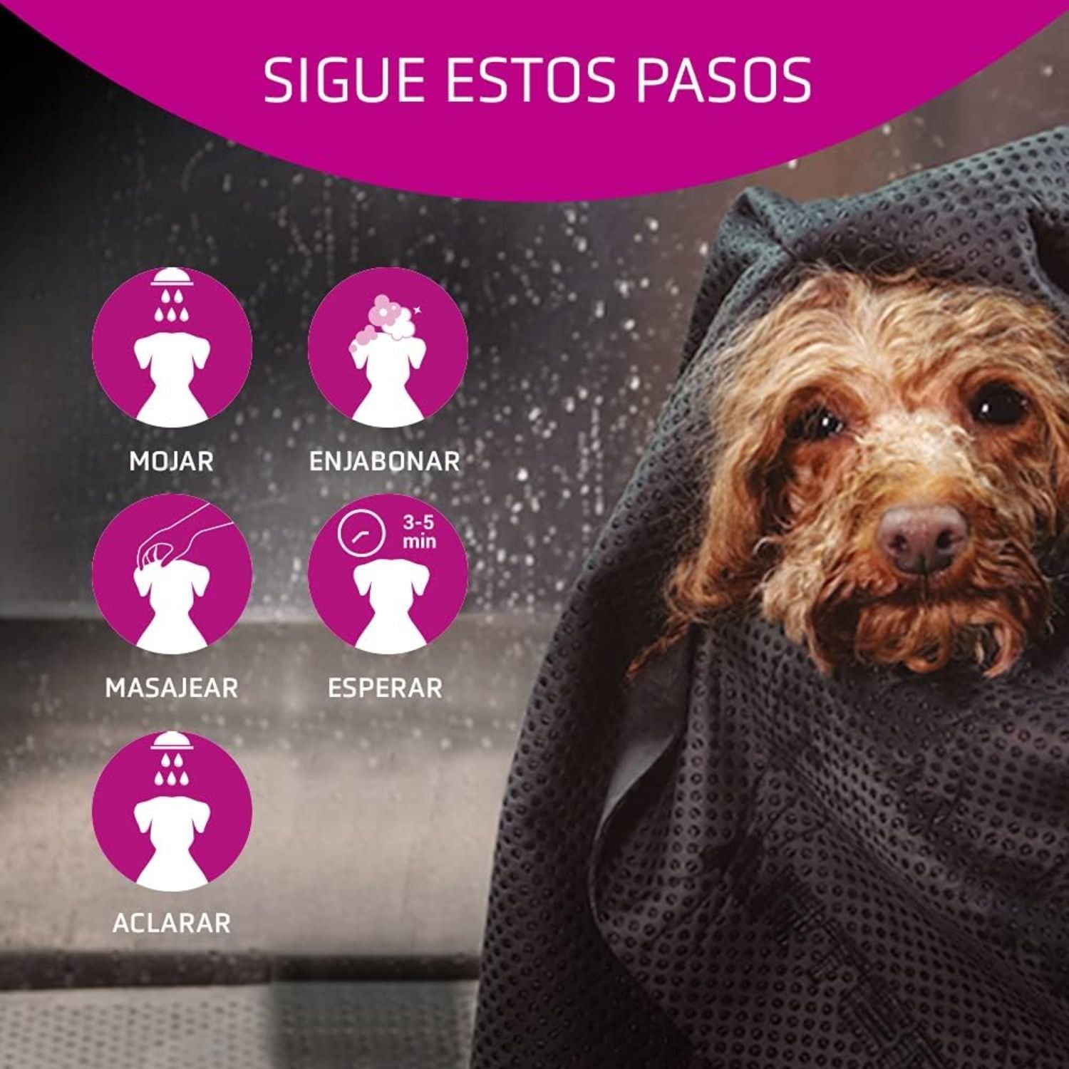 Perro mojado durante el baño con ilustración de los pasos de uso del champú Artero Vitalizante: mojar, enjabonar, masajear, esperar y aclarar
