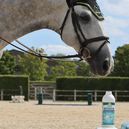 Caballo en pista de saltos con el bote de Balsamic Air Audevard para caballos en primer plano