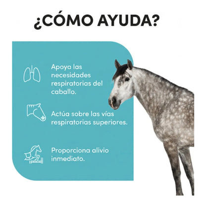Infografía sobre cómo ayuda el producto a las vías respiratorias superiores del caballo gris