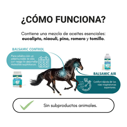 Esquema de cómo funciona la mezcla de aceites esenciales de eucalipto, niaouli, pino, romero y tomillo