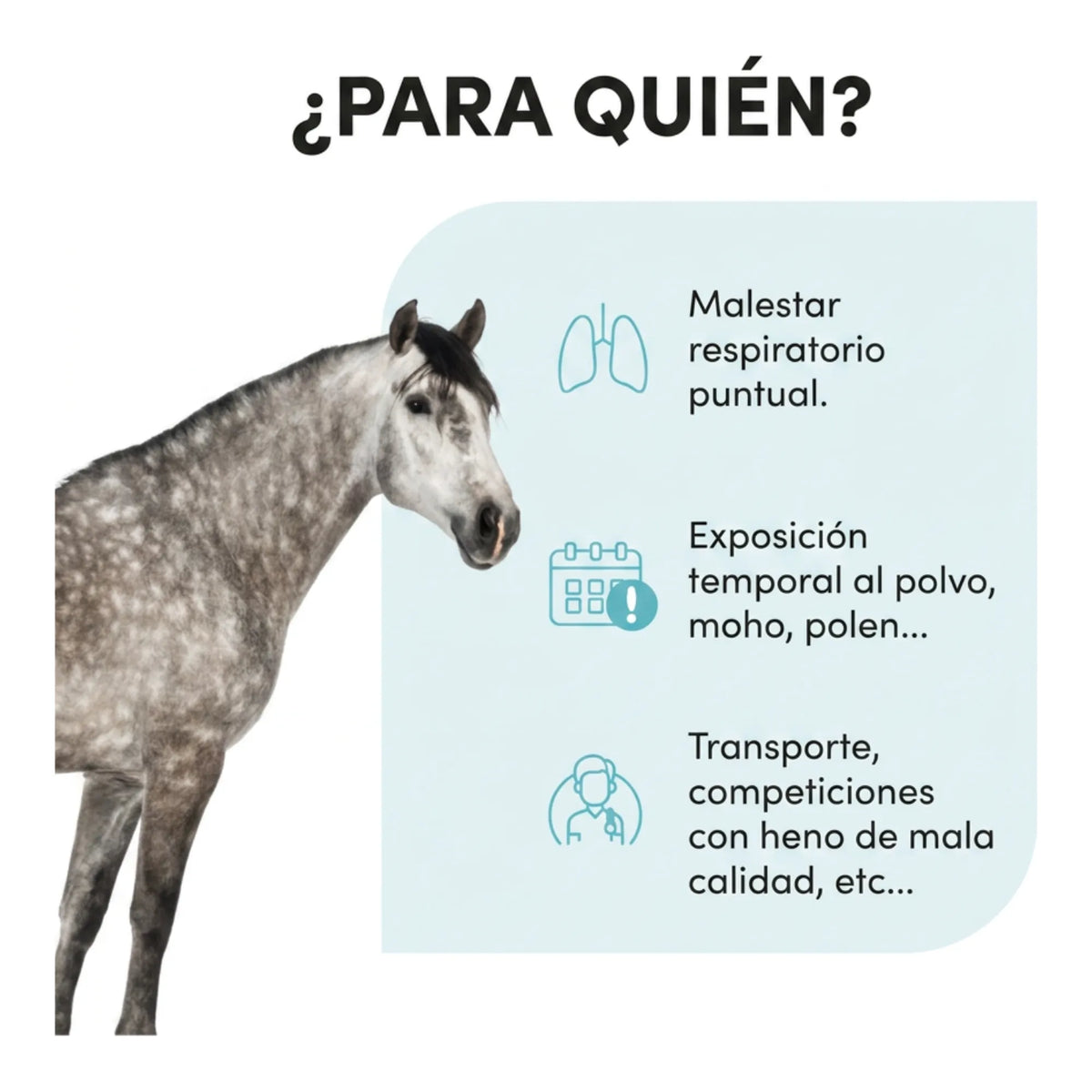 Infografía de para qué caballos se usa: exposición puntual a polvo, moho y polen