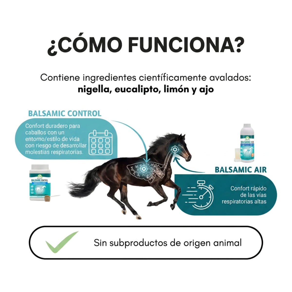 Esquema de cómo funcionan regaliz, eucalipto, limón y ajo junto con Balsamic Air
