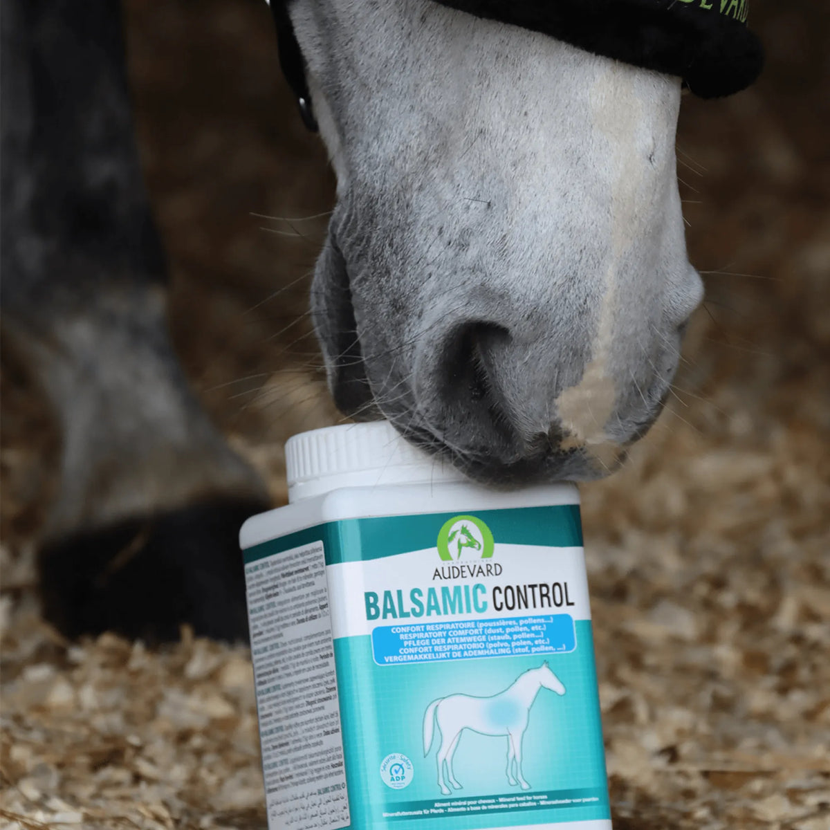 Caballo gris acercando el hocico al bote de Balsamic Control Audevard para caballos
