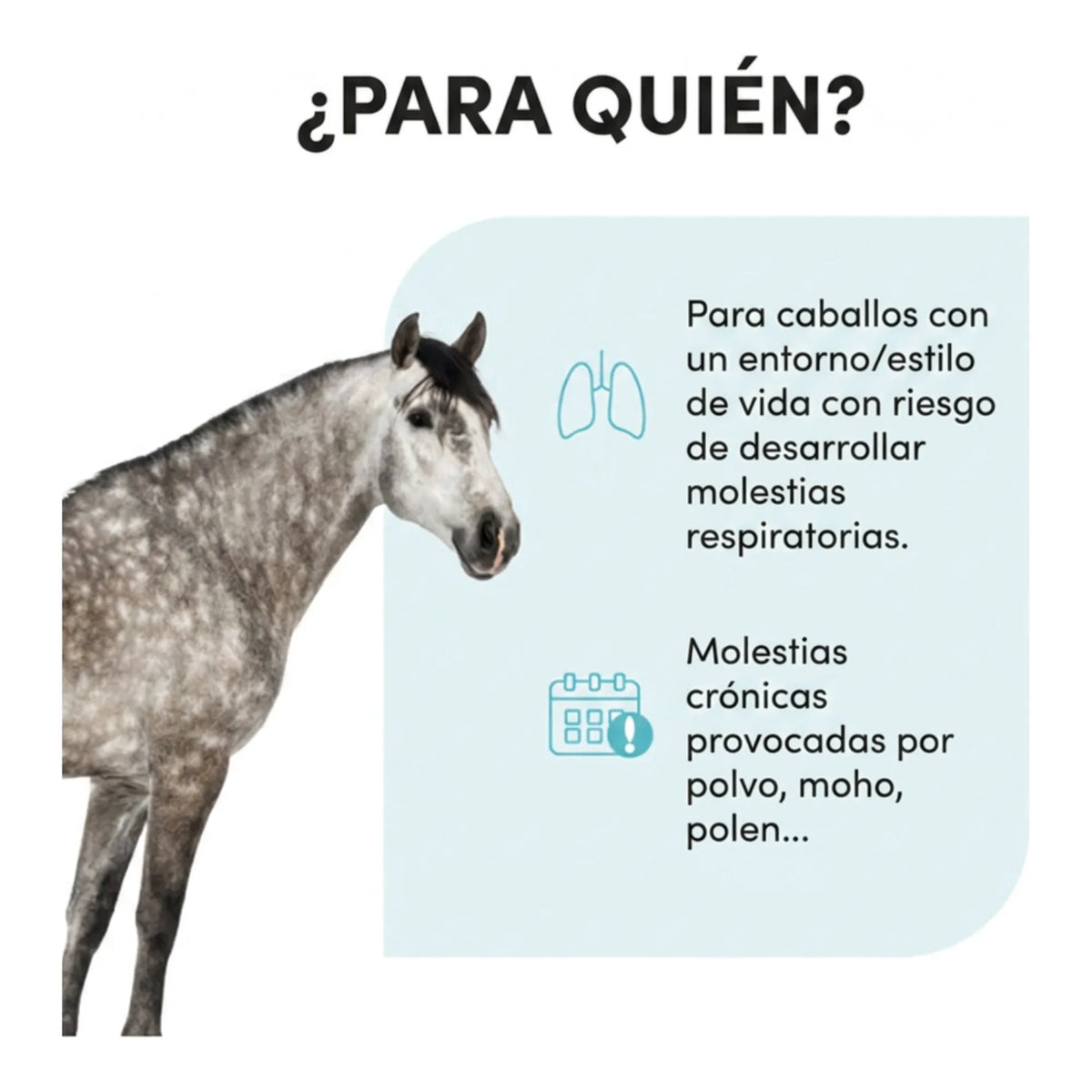 Infografía de para qué caballos se usa: entornos con polvo, moho y polen
