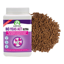 Bo Yeas Act Ultra para caballos, bote con tapa morada y granulado marrón