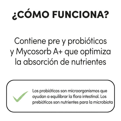 Infografía del funcionamiento de la fórmula con prebióticos y probióticos