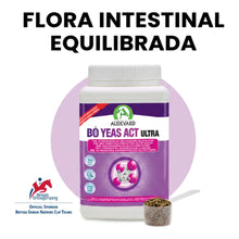 Infografía sobre flora intestinal equilibrada con el bote de Bo Yeas Act Ultra y cacito