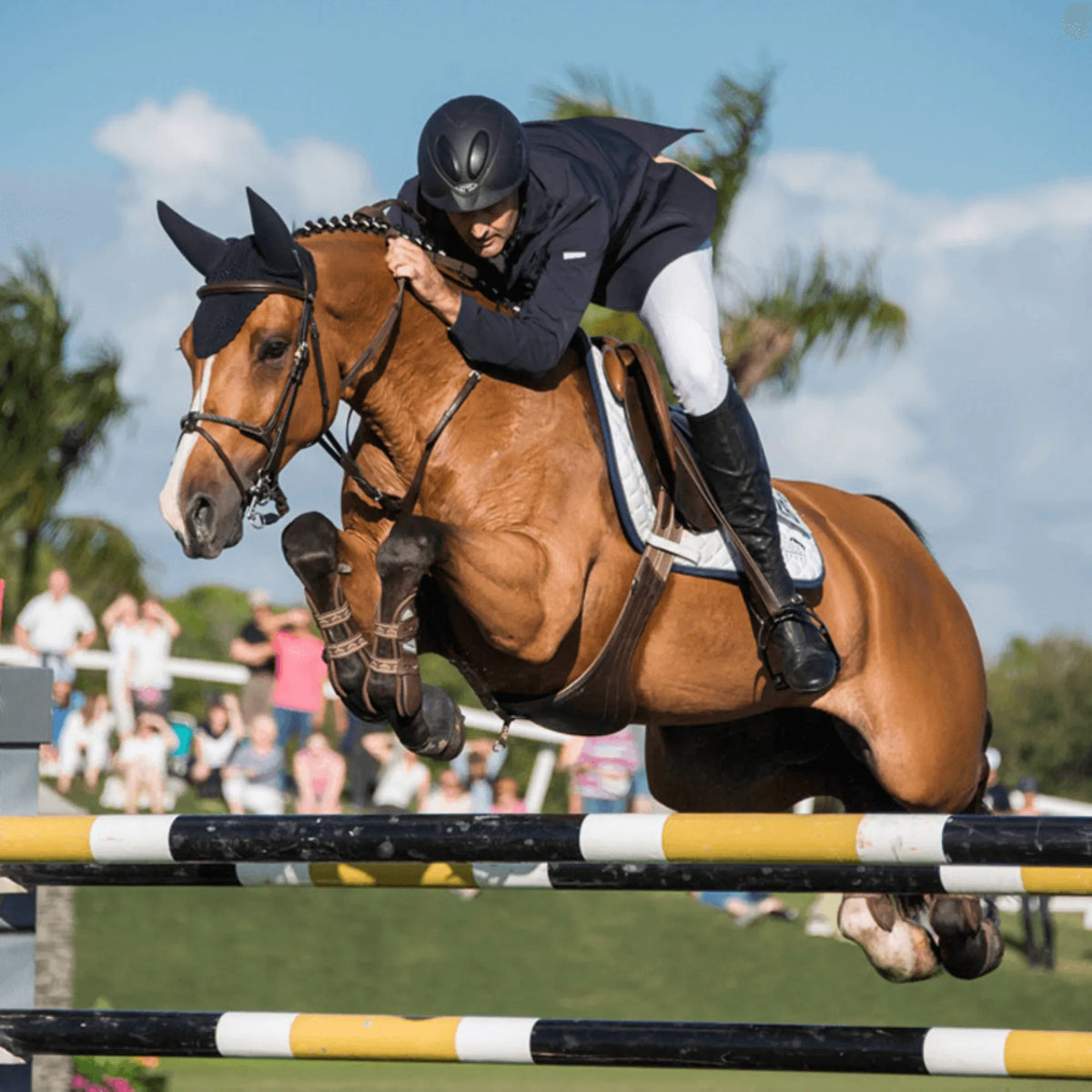 Jinete saltando un obstáculo con caballo alazán durante un concurso hípico