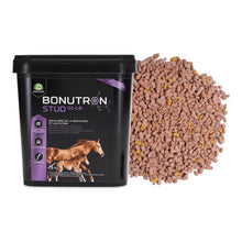 Bonutron Stud Audevard para yeguas, cubo negro con granulado marrón a su lado