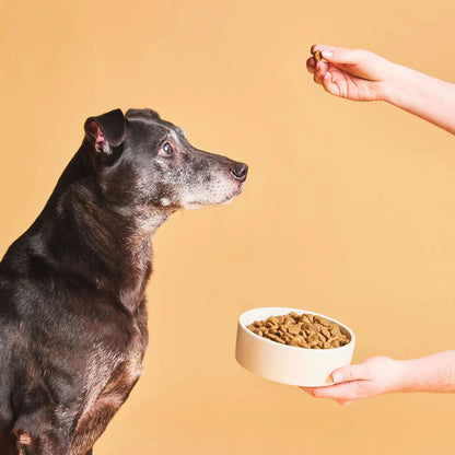 Perro mirando un cuenco del pienso Calibra Expert Nutrition Light