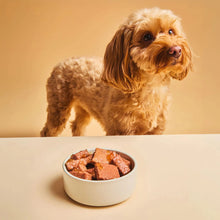 Perro mirando un cuenco con trozos de comida húmeda