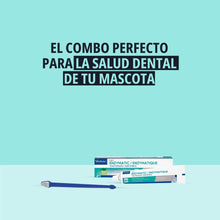 Caja CET Enzymatic Virbac con tubo de pasta y cepillo de doble cabezal azul sobre fondo verde menta grande, texto El combo perfecto para la salud dental de tu mascota