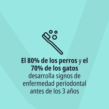 Icono lineal de cepillo de dientes con burbujas sobre fondo verde menta con logo Virbac en marca de agua y texto El 80% de los perros y el 70% de los gatos desarrolla signos de enfermedad periodontal antes de los 3 años