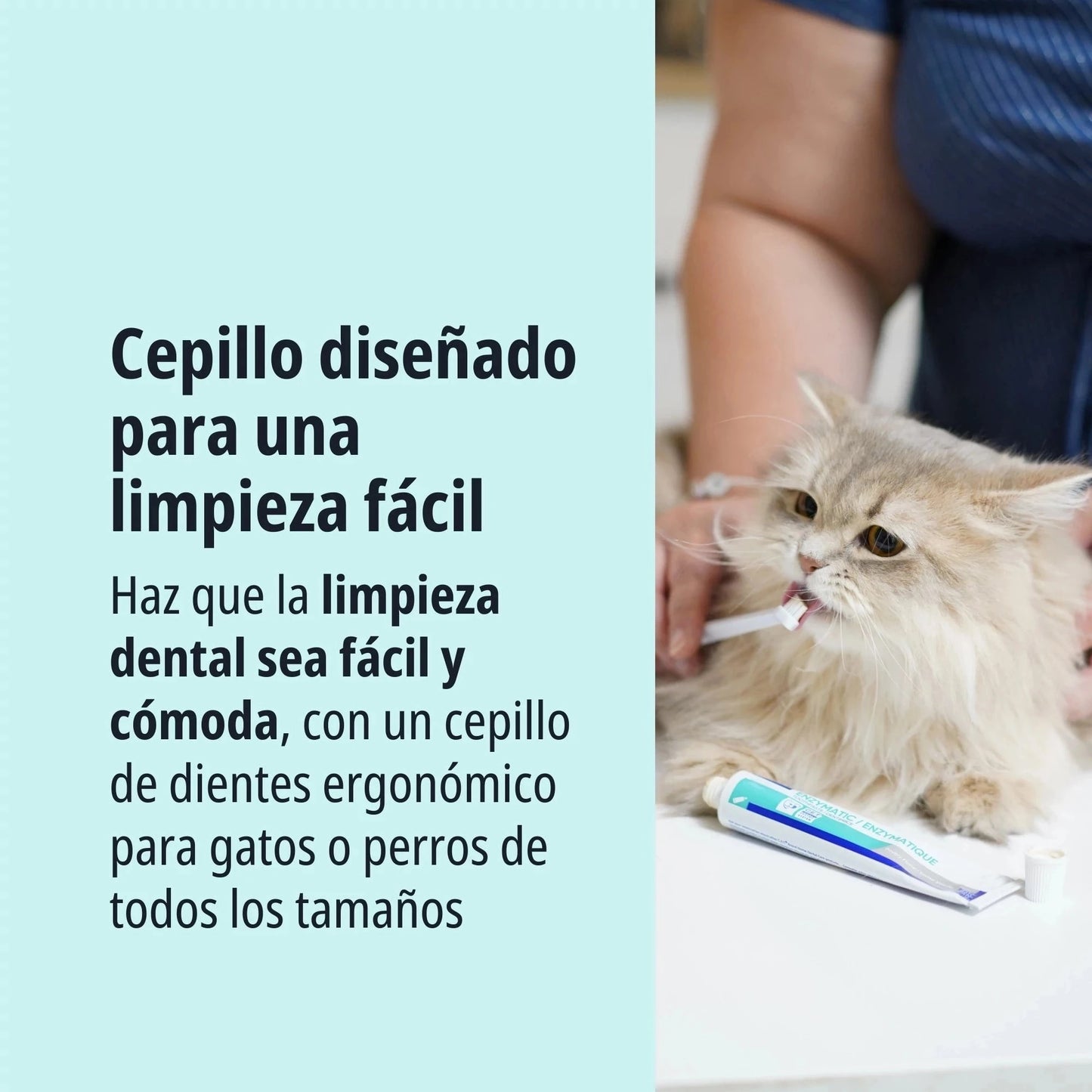 Gato persa de pelo largo beige tumbado sobre mesa siendo cepillado los dientes con cepillo de dedo y pasta CET Enzymatic Virbac, texto Cepillo diseñado para una limpieza fácil, haz que la limpieza dental sea fácil y cómoda con un cepillo ergonómico para gatos o perros de todos los tamaños