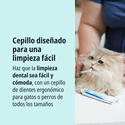 Gato persa de pelo largo beige tumbado sobre mesa siendo cepillado los dientes con cepillo de dedo y pasta CET Enzymatic Virbac, texto Cepillo diseñado para una limpieza fácil, haz que la limpieza dental sea fácil y cómoda con un cepillo ergonómico para gatos o perros de todos los tamaños