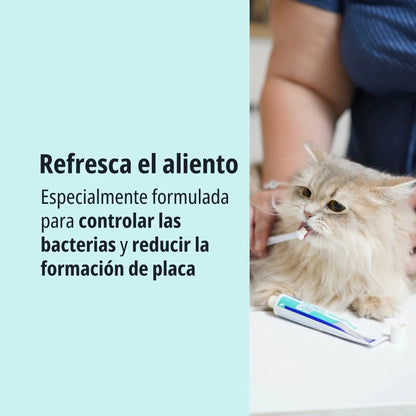 Gato persa de pelo largo beige tumbado sobre mesa de consulta siendo cepillado los dientes con cepillo de dedo y pasta CET Enzymatic Virbac, texto Refresca el aliento especialmente formulada para controlar las bacterias y reducir la formación de placa